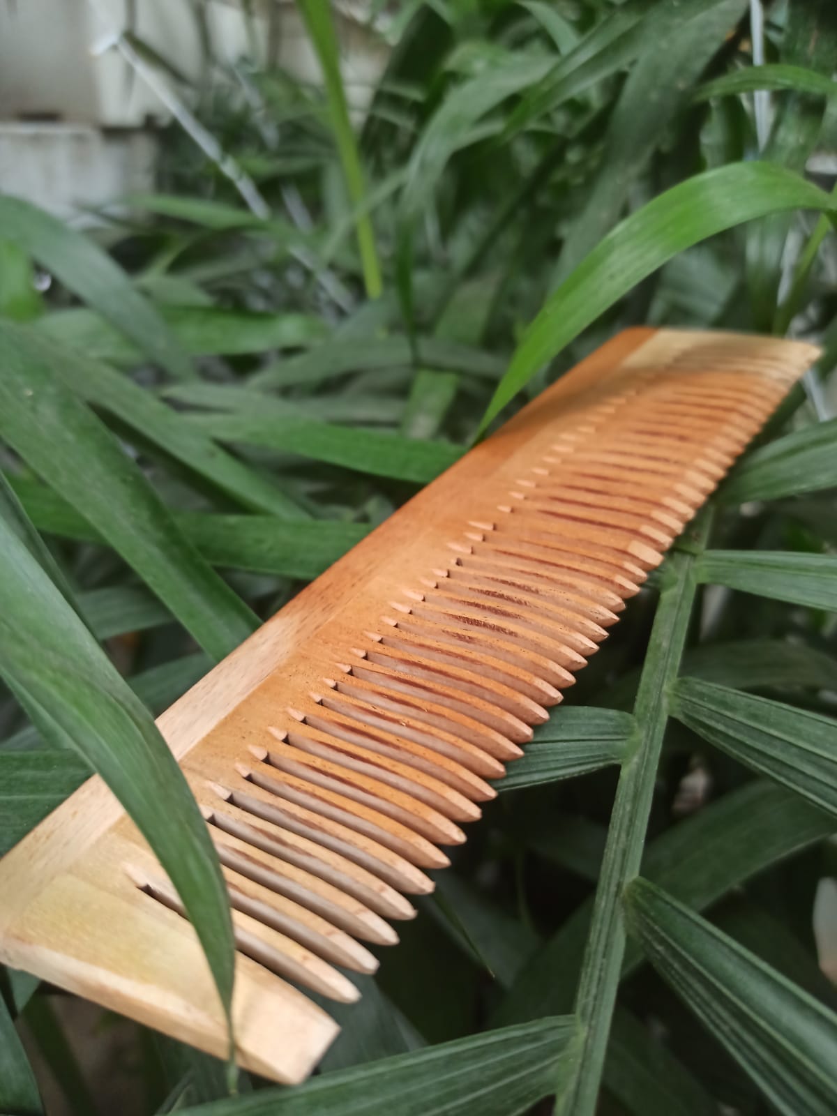 lfm neem wood comb