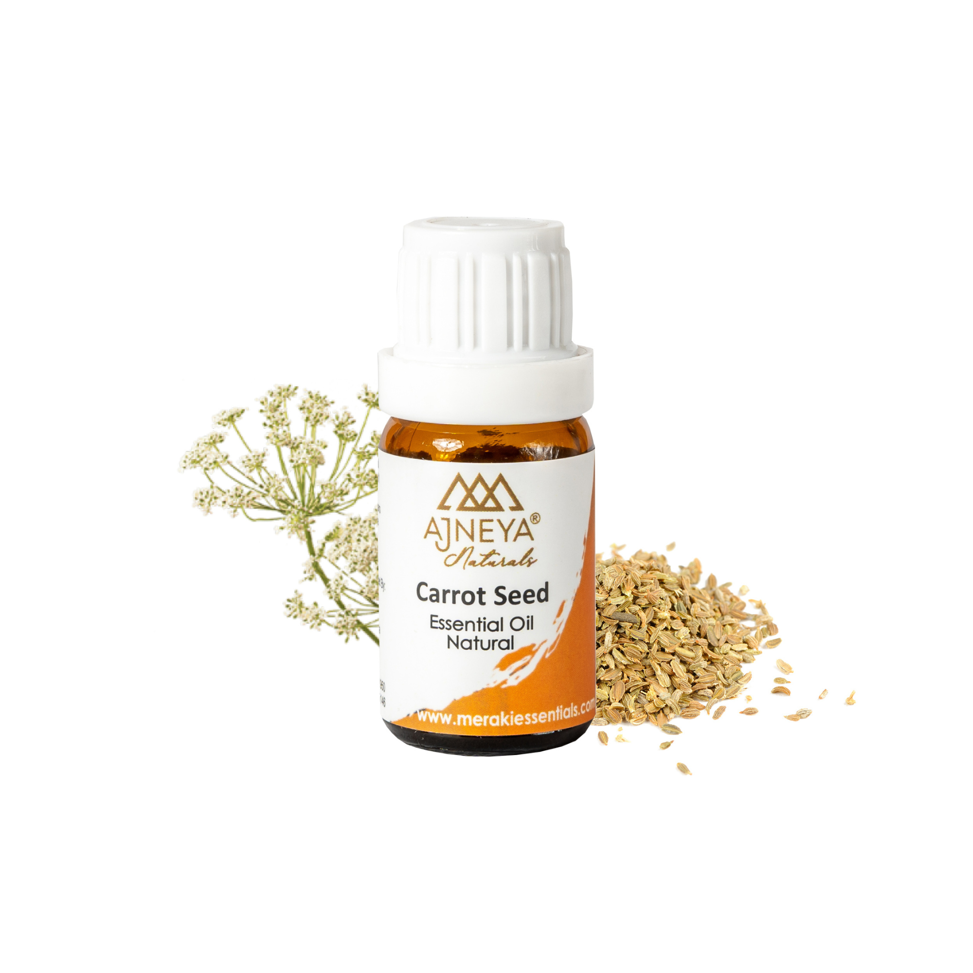 ajneya naturals pure carrot seed essential oil (10 ml)
